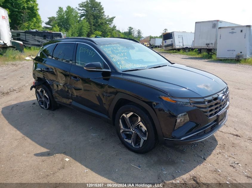 2024 Hyundai Tucson Sel Convenience VIN: KM8JCCD13RU142084 Lot: 12015357