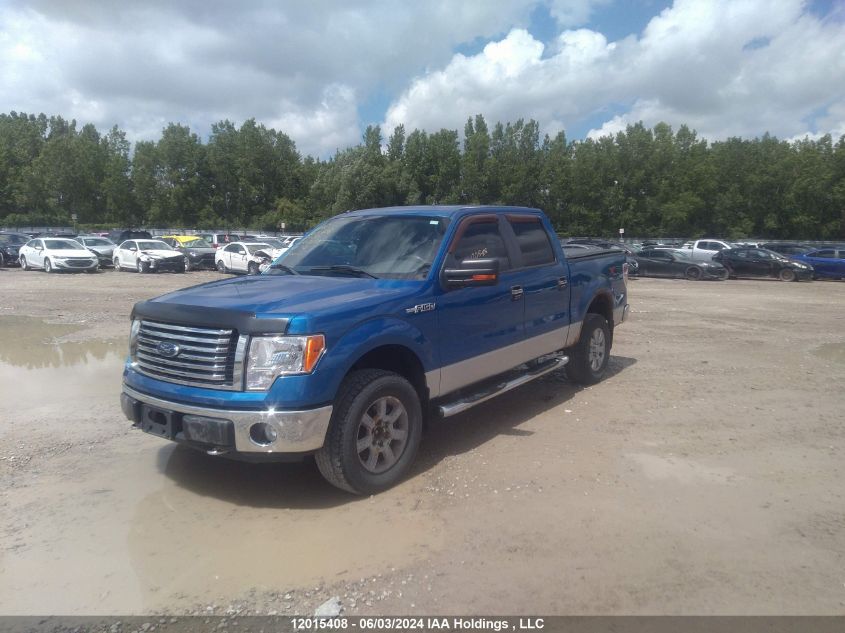 2010 Ford F-150 VIN: 1FTFW1EV2AFA43059 Lot: 12015408