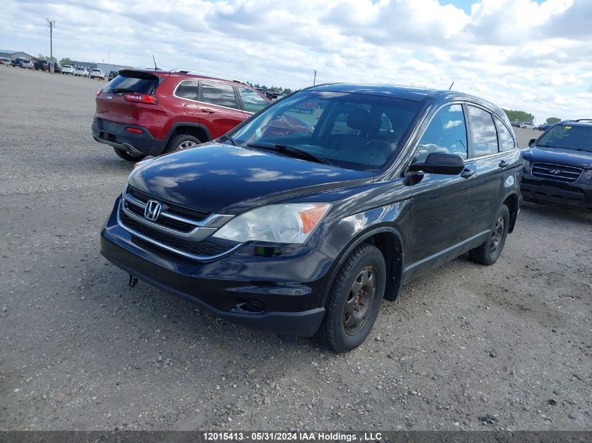 2010 Honda Cr-V VIN: 5J6RE4H76AL817663 Lot: 12015413