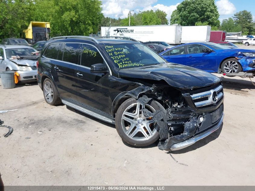 2014 Mercedes-Benz Gl-Class VIN: 4JGDF2EE3EA373840 Lot: 12015473