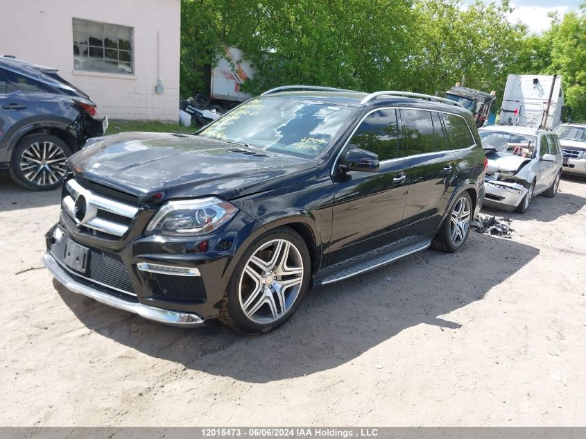 2014 Mercedes-Benz Gl-Class VIN: 4JGDF2EE3EA373840 Lot: 12015473