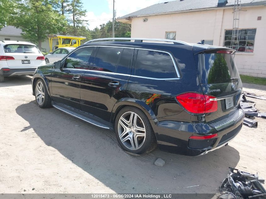 2014 Mercedes-Benz Gl-Class VIN: 4JGDF2EE3EA373840 Lot: 12015473