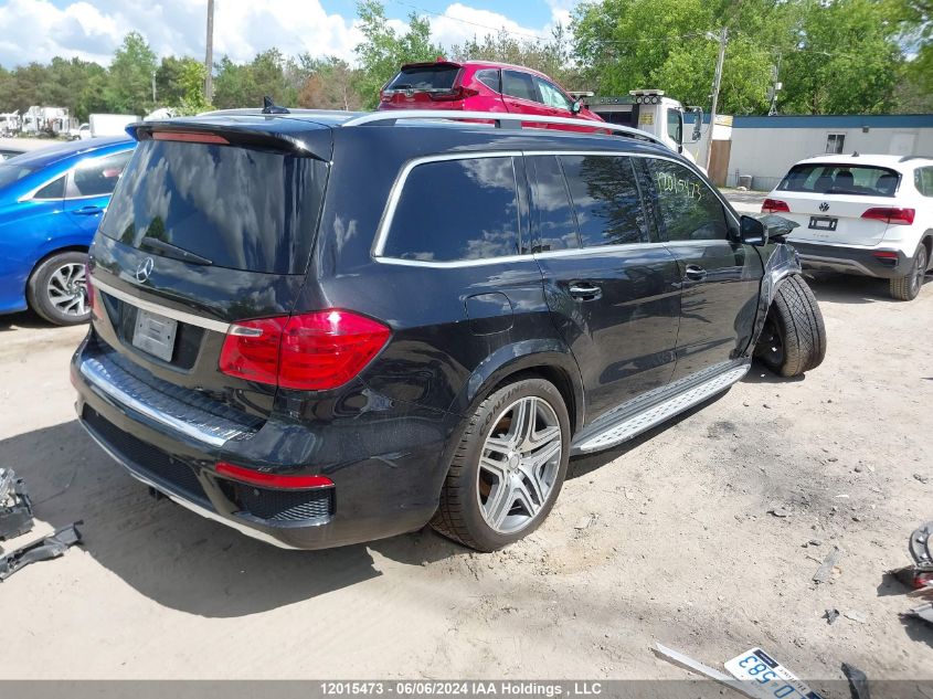 2014 Mercedes-Benz Gl-Class VIN: 4JGDF2EE3EA373840 Lot: 12015473