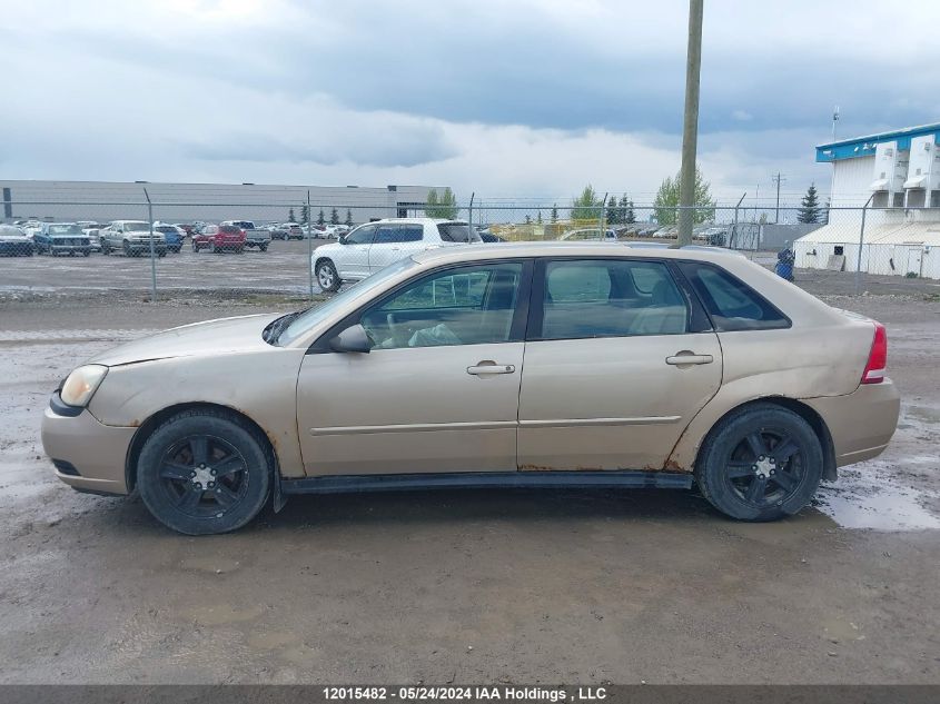 2005 Chevrolet Malibu Maxx VIN: 1G1ZT62895F279384 Lot: 12015482