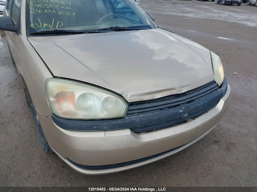 2005 Chevrolet Malibu Maxx VIN: 1G1ZT62895F279384 Lot: 12015482