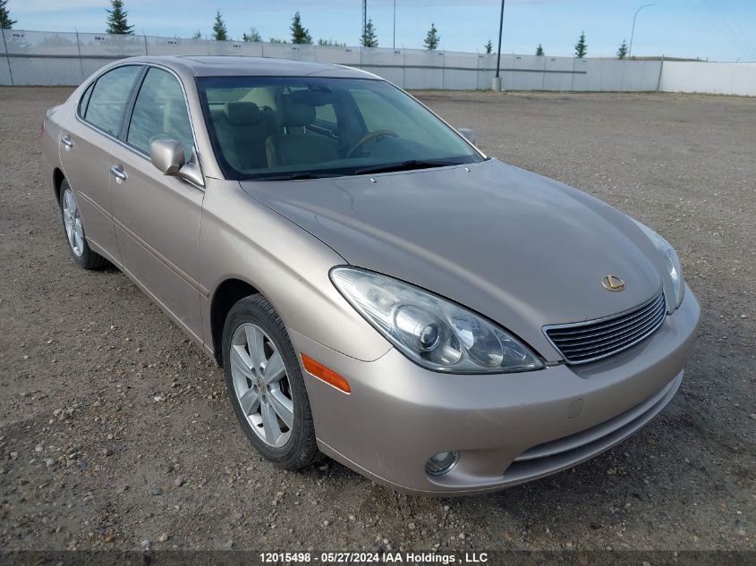 2005 Lexus Es 330 VIN: JTHBA30G755070852 Lot: 12015498