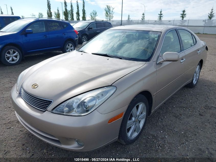 2005 Lexus Es 330 VIN: JTHBA30G755070852 Lot: 12015498