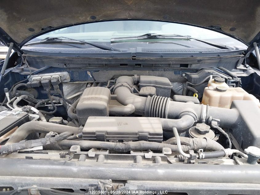 2010 Ford F-150 VIN: 1FTFW1EV1AFC19437 Lot: 12015501