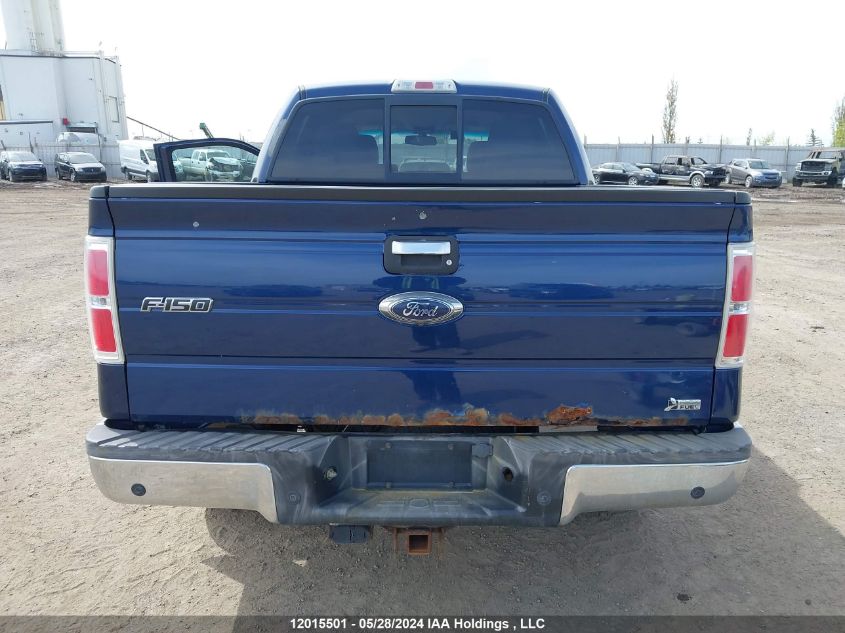 2010 Ford F-150 VIN: 1FTFW1EV1AFC19437 Lot: 12015501