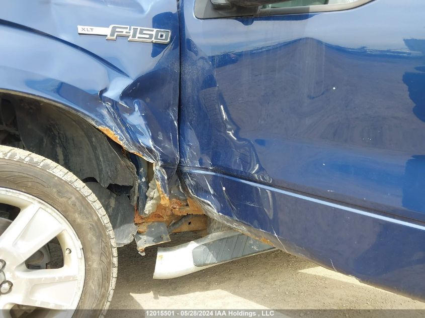 2010 Ford F-150 VIN: 1FTFW1EV1AFC19437 Lot: 12015501