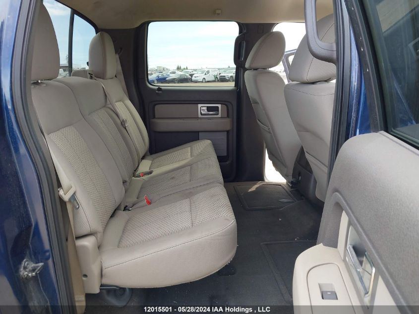 2010 Ford F-150 VIN: 1FTFW1EV1AFC19437 Lot: 12015501