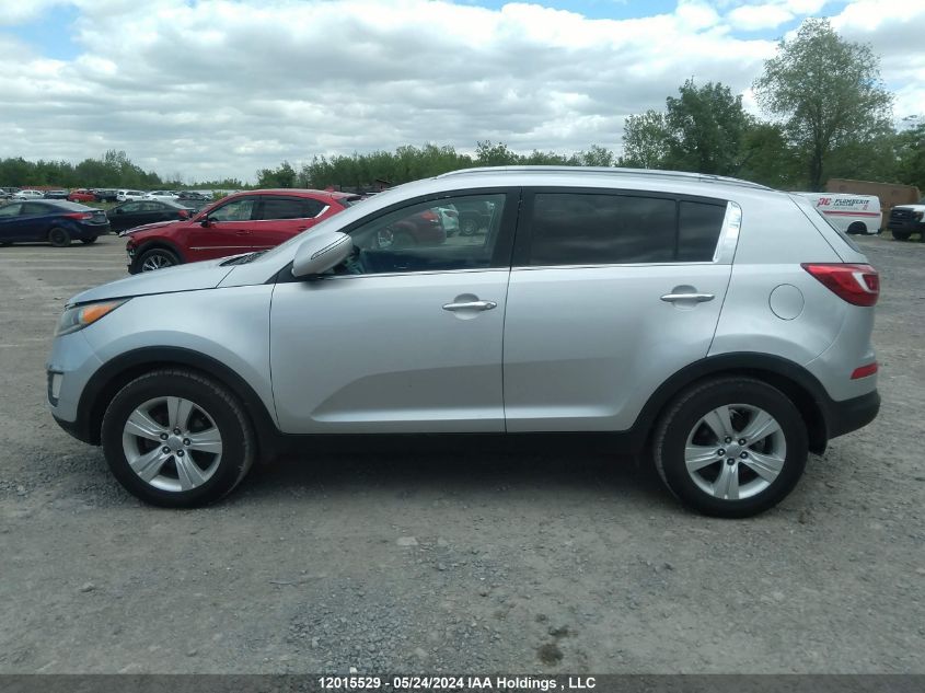 2011 Kia Sportage VIN: KNDPC3A23B7164795 Lot: 12015529