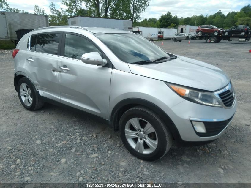 2011 Kia Sportage VIN: KNDPC3A23B7164795 Lot: 12015529