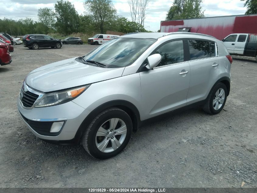 2011 Kia Sportage VIN: KNDPC3A23B7164795 Lot: 12015529