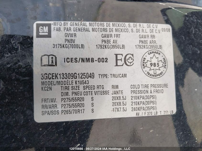 2009 Chevrolet Silverado 1500 VIN: 3GCEK13309G125049 Lot: 12015666