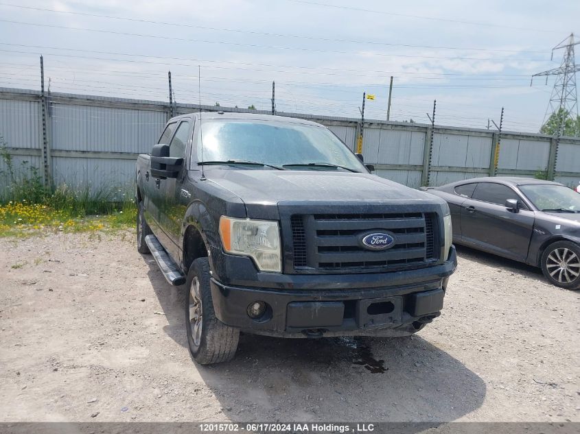 2010 Ford F150 Supercrew VIN: 1FTFW1EV9AFB64882 Lot: 12015702