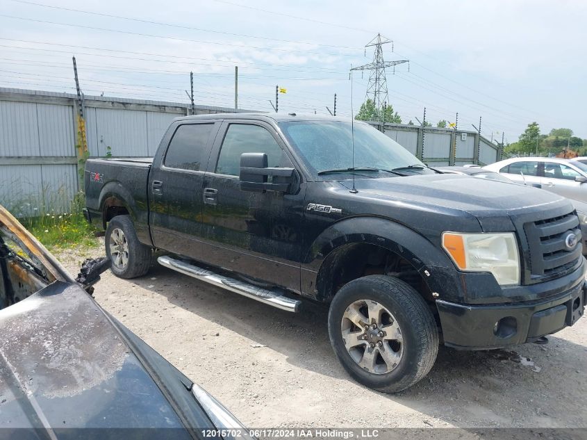 2010 Ford F150 Supercrew VIN: 1FTFW1EV9AFB64882 Lot: 12015702