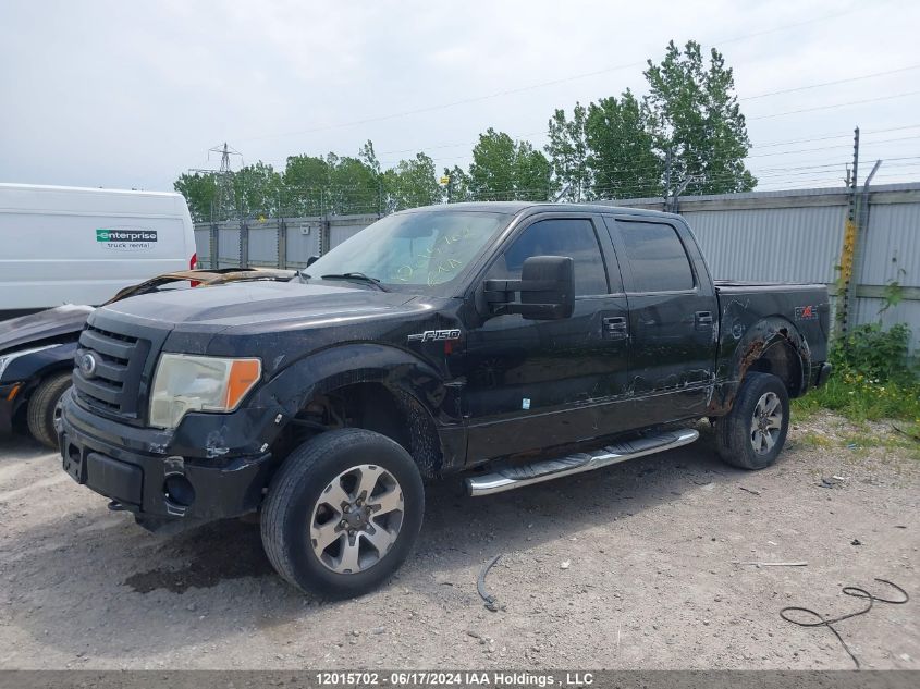 2010 Ford F150 Supercrew VIN: 1FTFW1EV9AFB64882 Lot: 12015702