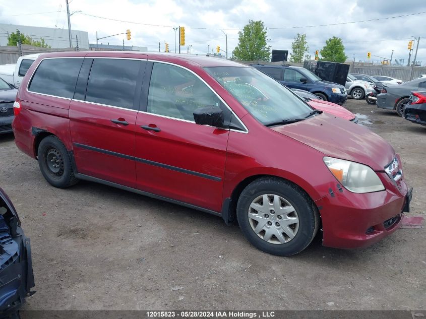 2005 Honda Odyssey VIN: 5FNRL38265B503515 Lot: 12015823