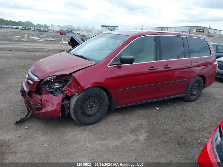 2005 Honda Odyssey VIN: 5FNRL38265B503515 Lot: 12015823