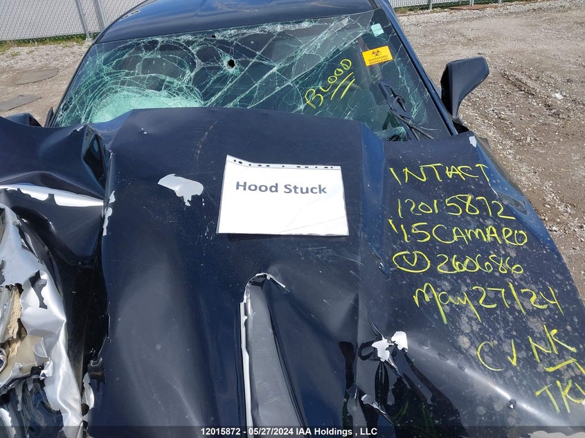 2015 Chevrolet Camaro Ls VIN: 2G1FA1E3XF9260686 Lot: 12015872