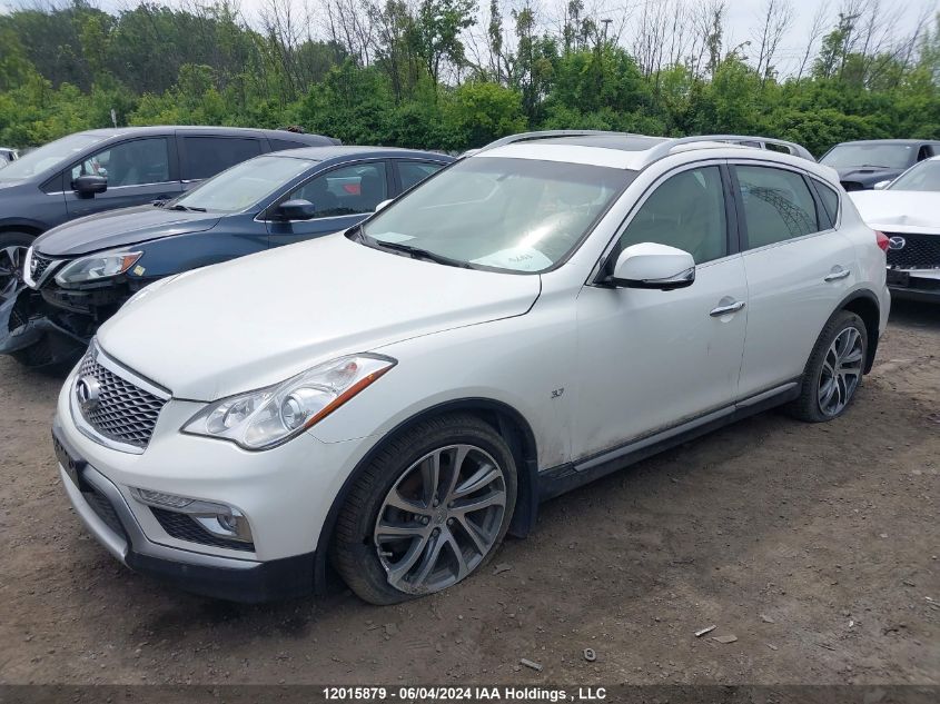 2017 Infiniti Qx50 VIN: JN1BJ0RR1HM400633 Lot: 12015879