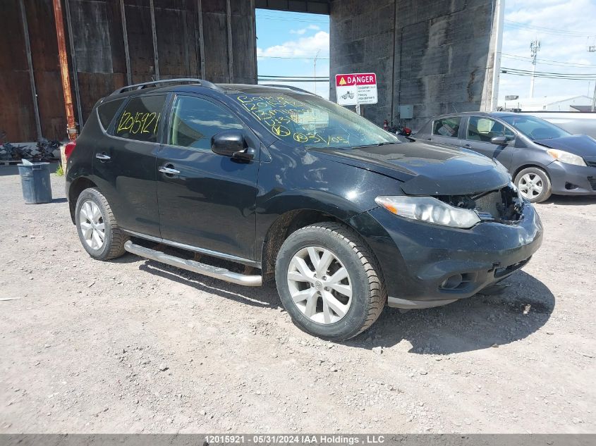 2013 Nissan Murano VIN: JN8AZ1MWXDW315202 Lot: 12015921