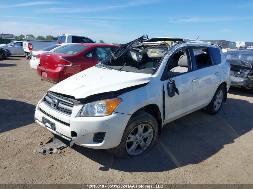 2011 Toyota Rav4 VIN: 2T3BF4DV6BW169944 Lot: 12016018