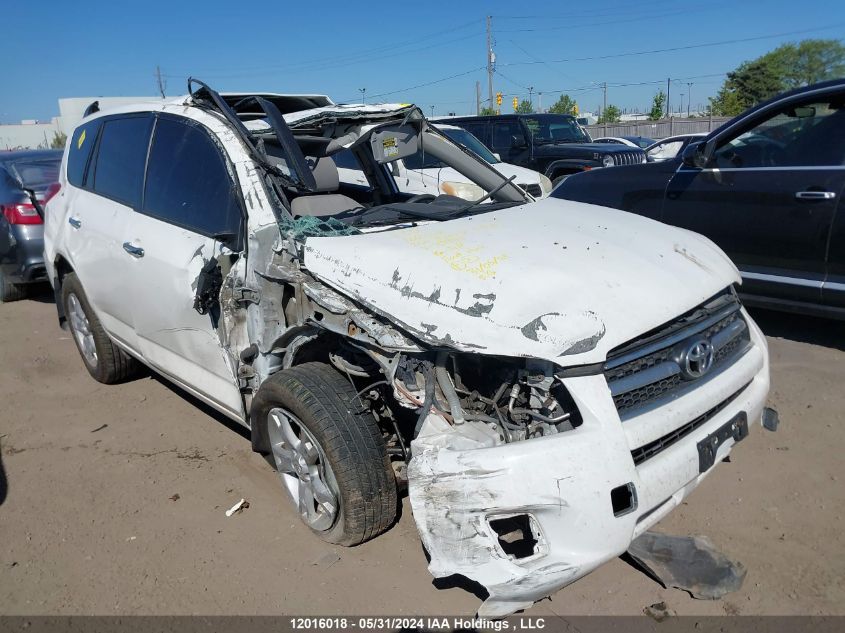 2011 Toyota Rav4 VIN: 2T3BF4DV6BW169944 Lot: 12016018