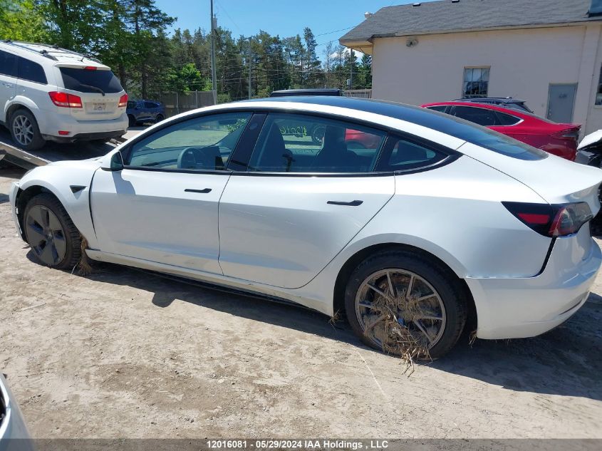 2023 Tesla Model 3 VIN: LRW3E1FA4PC845766 Lot: 12016081