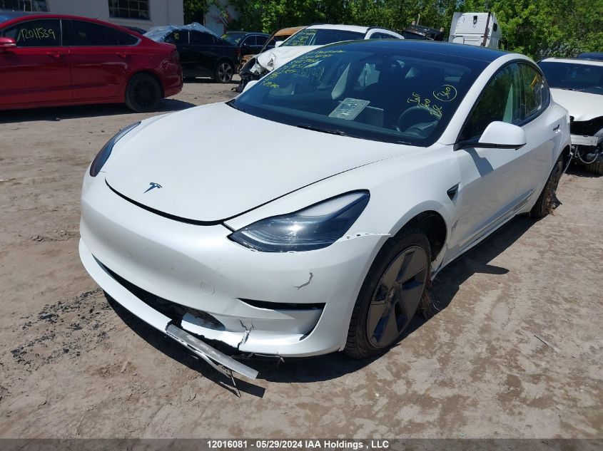 2023 Tesla Model 3 VIN: LRW3E1FA4PC845766 Lot: 12016081