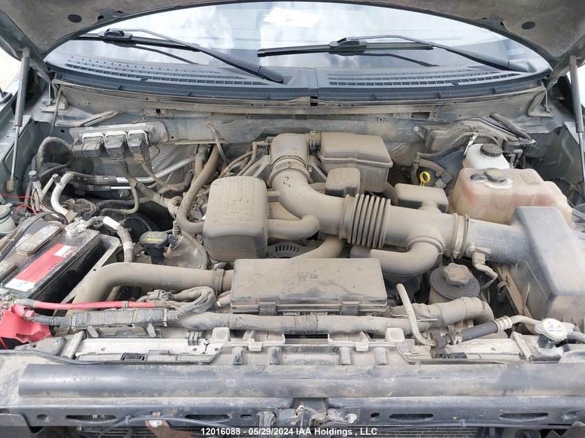 2010 Ford F-150 VIN: 1FTFW1EV1AFD46639 Lot: 12016088