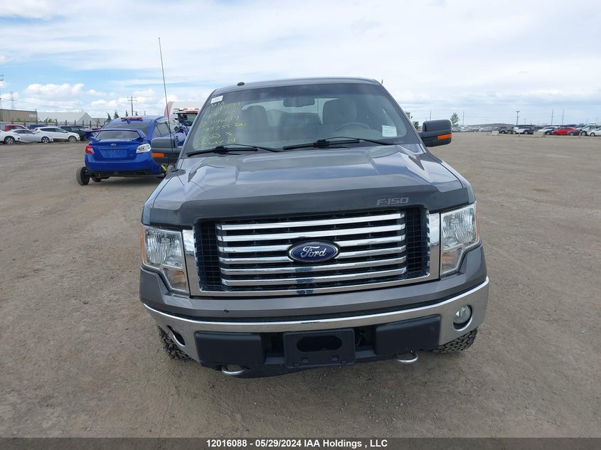 2010 Ford F-150 VIN: 1FTFW1EV1AFD46639 Lot: 12016088