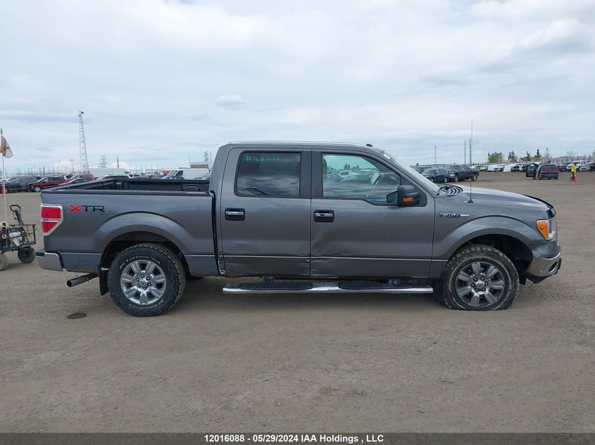 2010 Ford F-150 VIN: 1FTFW1EV1AFD46639 Lot: 12016088