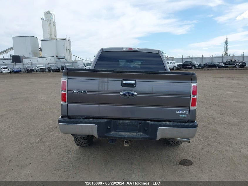 2010 Ford F-150 VIN: 1FTFW1EV1AFD46639 Lot: 12016088