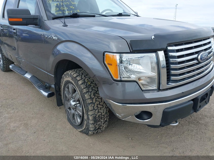 2010 Ford F-150 VIN: 1FTFW1EV1AFD46639 Lot: 12016088