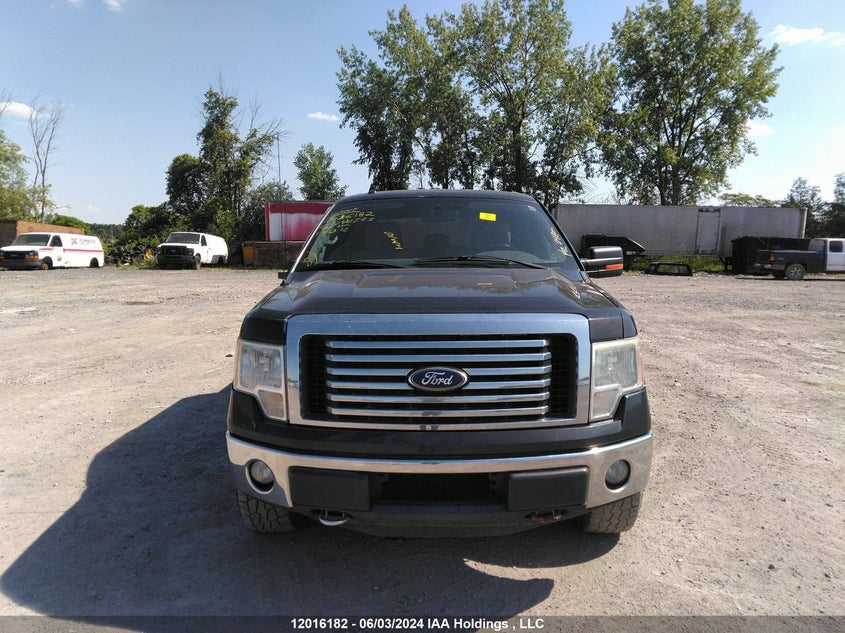 2012 Ford F-150 VIN: 1FTFW1EF7CKD40525 Lot: 12016182