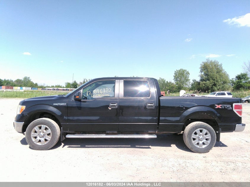 2012 Ford F-150 VIN: 1FTFW1EF7CKD40525 Lot: 12016182