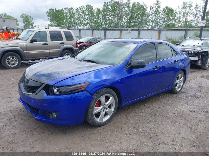 2009 Acura Tsx VIN: JH4CU26609C802034 Lot: 12016195