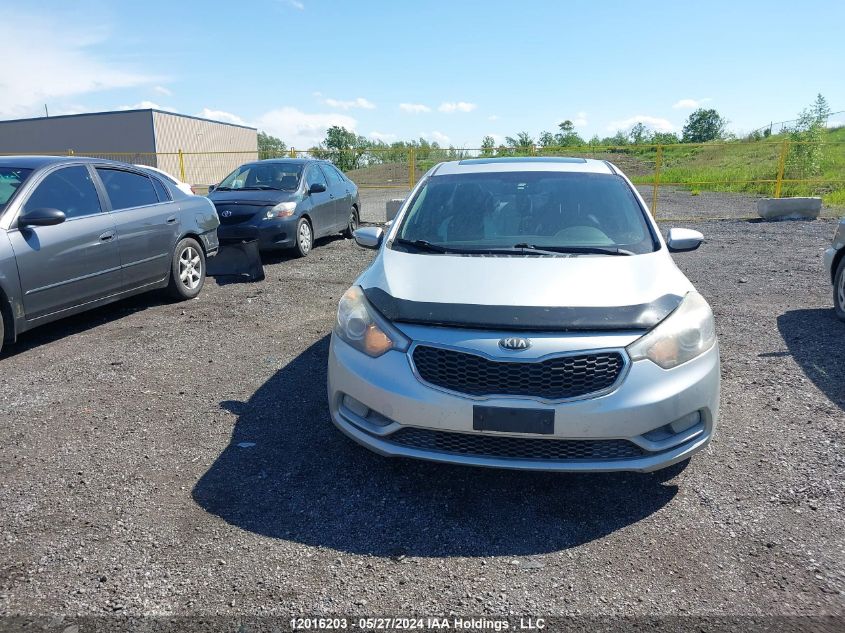 2014 Kia Forte VIN: KNAFZ4A83E5195658 Lot: 12016203