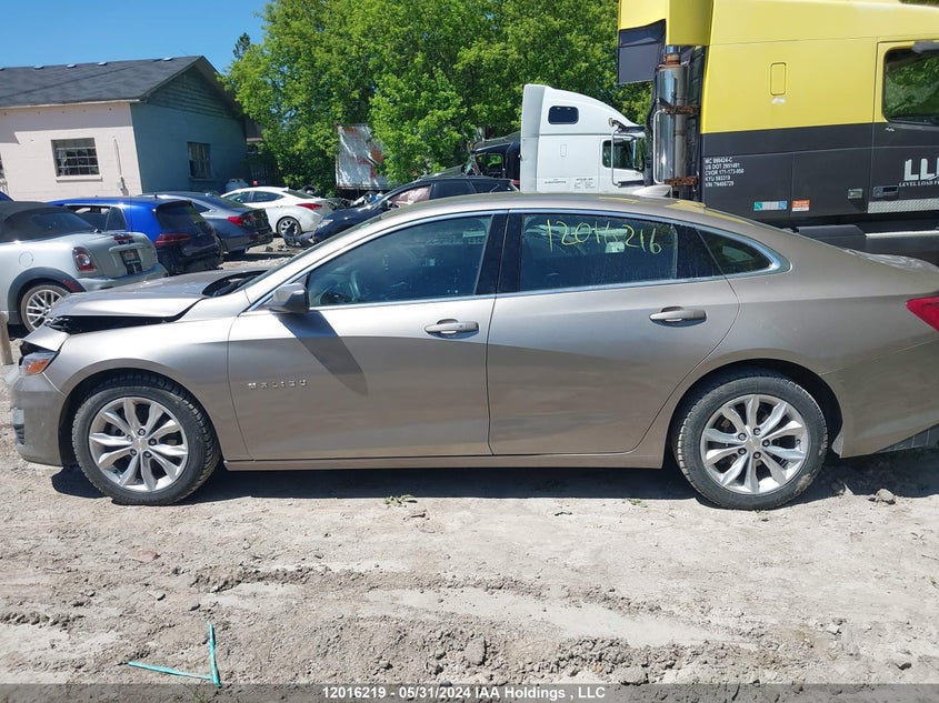 2022 Chevrolet Malibu VIN: 1G1ZD5ST6NF116591 Lot: 12016219