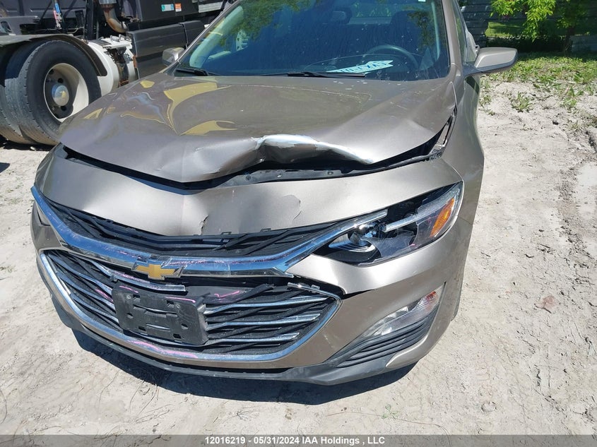 2022 Chevrolet Malibu VIN: 1G1ZD5ST6NF116591 Lot: 12016219