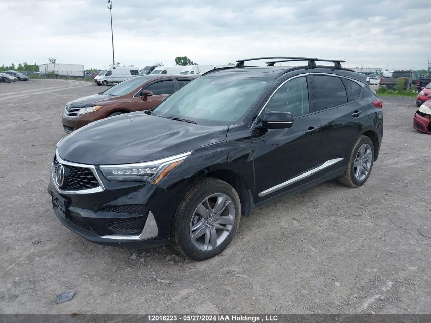 2019 Acura Rdx VIN: 5J8TC2H90KL807835 Lot: 12016223