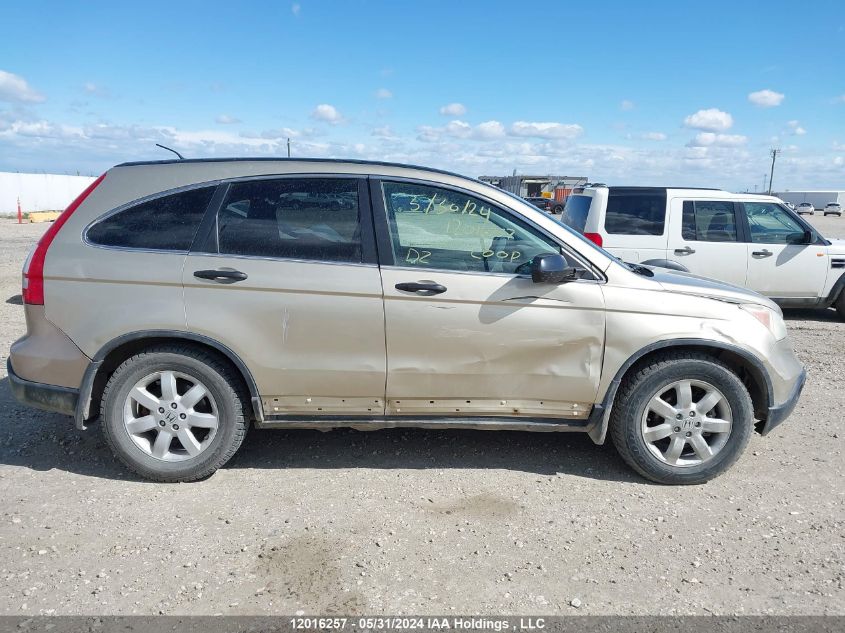 2007 Honda Cr-V VIN: 5J6RE48577L811586 Lot: 12016257