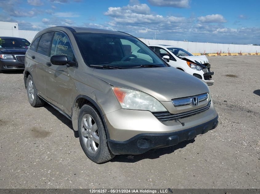 2007 Honda Cr-V VIN: 5J6RE48577L811586 Lot: 12016257