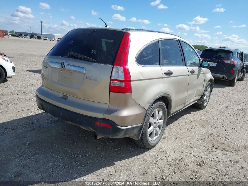 2007 Honda Cr-V VIN: 5J6RE48577L811586 Lot: 12016257