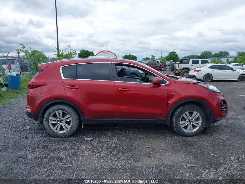 2017 Kia Sportage Lx VIN: KNDPMCAC3H7278052 Lot: 12016288