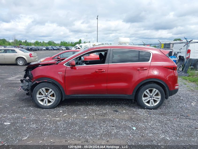 2017 Kia Sportage Lx VIN: KNDPMCAC3H7278052 Lot: 12016288