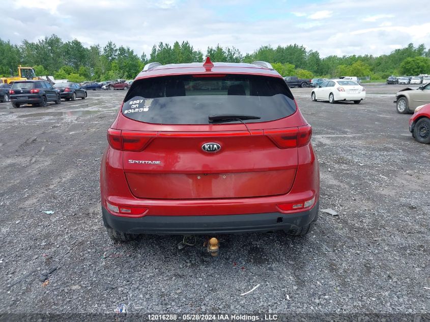 2017 Kia Sportage Lx VIN: KNDPMCAC3H7278052 Lot: 12016288