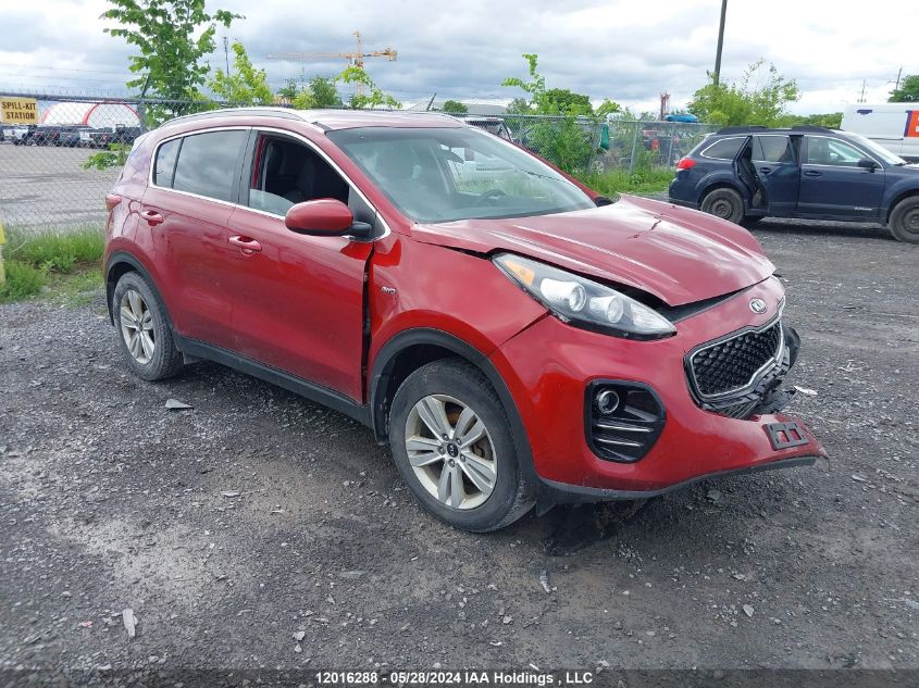 2017 Kia Sportage Lx VIN: KNDPMCAC3H7278052 Lot: 12016288